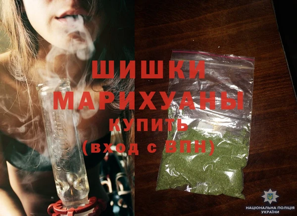 трава Коряжма