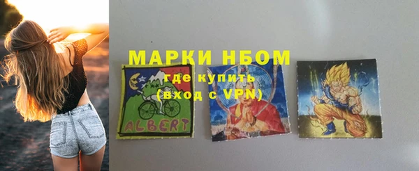 трава Коряжма