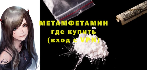трава Коряжма