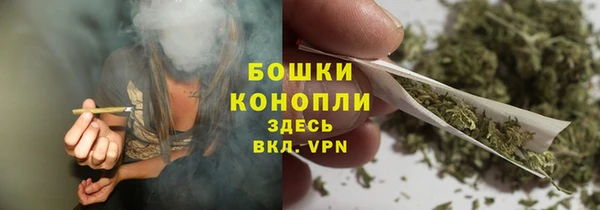 гашик Козельск