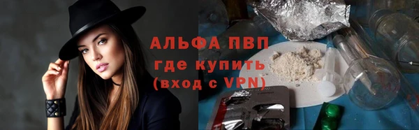 трава Коряжма