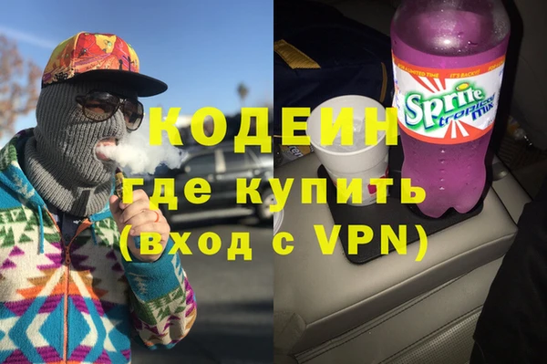 трава Коряжма