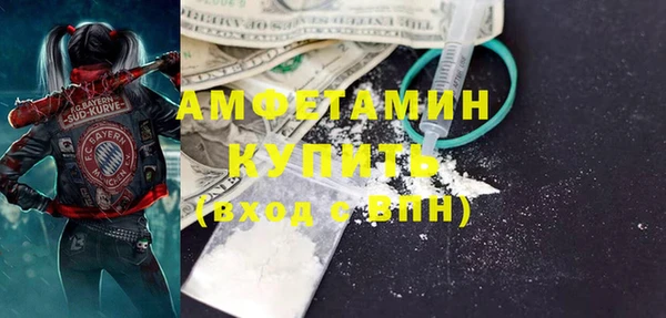 трава Коряжма