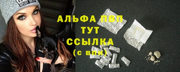 трава Коряжма