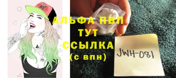 трава Коряжма