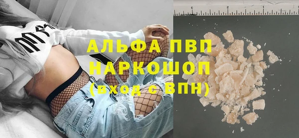 трава Коряжма