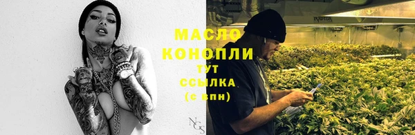 крисы Козловка