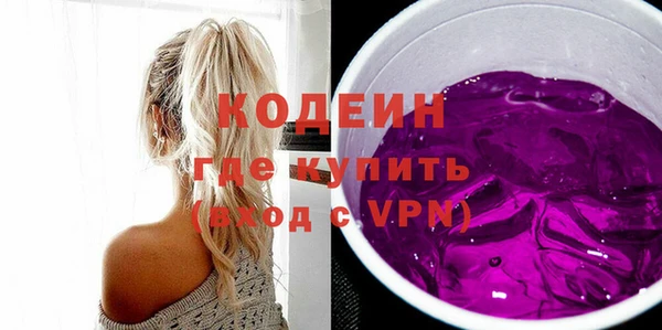 гашик Козельск