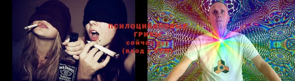 гашик Козельск