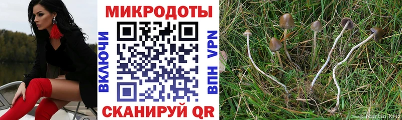Галлюциногенные грибы Psilocybine cubensis Купить где Апрелевка